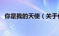 你是我的天使（关于你是我的天使的简介）