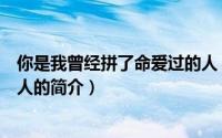 你是我曾经拼了命爱过的人（关于你是我曾经拼了命爱过的人的简介）