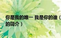 你是我的唯一 我是你的谁（关于你是我的唯一 我是你的谁的简介）
