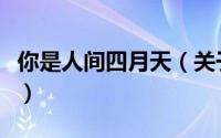 你是人间四月天（关于你是人间四月天的简介）