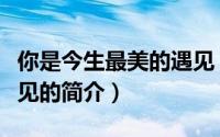 你是今生最美的遇见（关于你是今生最美的遇见的简介）
