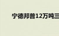 宁德邦普12万吨三元前驱体全线达产