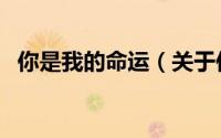 你是我的命运（关于你是我的命运的简介）