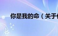 你是我的命（关于你是我的命的简介）