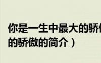 你是一生中最大的骄傲（关于你是一生中最大的骄傲的简介）