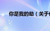 你是我的劫（关于你是我的劫的简介）