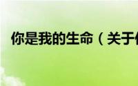 你是我的生命（关于你是我的生命的简介）