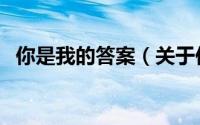 你是我的答案（关于你是我的答案的简介）