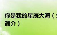 你是我的星辰大海（关于你是我的星辰大海的简介）