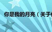 你是我的月亮（关于你是我的月亮的简介）