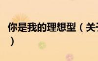 你是我的理想型（关于你是我的理想型的简介）