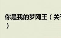你是我的梦网王（关于你是我的梦网王的简介）