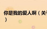你是我的爱人啊（关于你是我的爱人啊的简介）