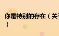你是特别的存在（关于你是特别的存在的简介）
