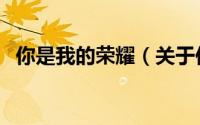 你是我的荣耀（关于你是我的荣耀的简介）