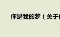 你是我的梦（关于你是我的梦的简介）