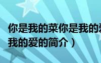 你是我的菜你是我的爱（关于你是我的菜你是我的爱的简介）