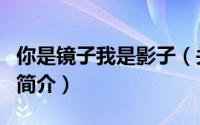 你是镜子我是影子（关于你是镜子我是影子的简介）
