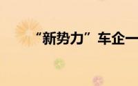 “新势力”车企一季度业绩陆续出炉
