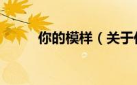 你的模样（关于你的模样的简介）
