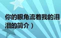 你的眼角流着我的泪（关于你的眼角流着我的泪的简介）