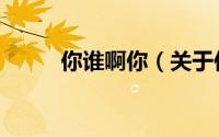 你谁啊你（关于你谁啊你的简介）