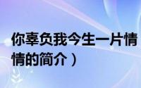 你辜负我今生一片情（关于你辜负我今生一片情的简介）