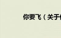 你要飞（关于你要飞的简介）