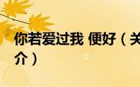 你若爱过我 便好（关于你若爱过我 便好的简介）