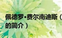 佩德罗·费尔南迪斯（关于佩德罗·费尔南迪斯的简介）