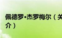 佩德罗·杰罗梅尔（关于佩德罗·杰罗梅尔的简介）