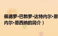 佩德罗·巴勃罗·达特内尔·恩西纳（关于佩德罗·巴勃罗·达特内尔·恩西纳的简介）