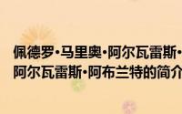 佩德罗·马里奥·阿尔瓦雷斯·阿布兰特（关于佩德罗·马里奥·阿尔瓦雷斯·阿布兰特的简介）