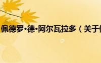 佩德罗·德·阿尔瓦拉多（关于佩德罗·德·阿尔瓦拉多的简介）