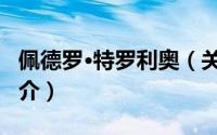 佩德罗·特罗利奥（关于佩德罗·特罗利奥的简介）