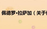 佩德罗·拉萨加（关于佩德罗·拉萨加的简介）
