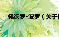 佩德罗·波罗（关于佩德罗·波罗的简介）