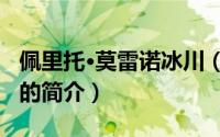 佩里托·莫雷诺冰川（关于佩里托·莫雷诺冰川的简介）