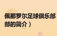 佩那罗尔足球俱乐部（关于佩那罗尔足球俱乐部的简介）