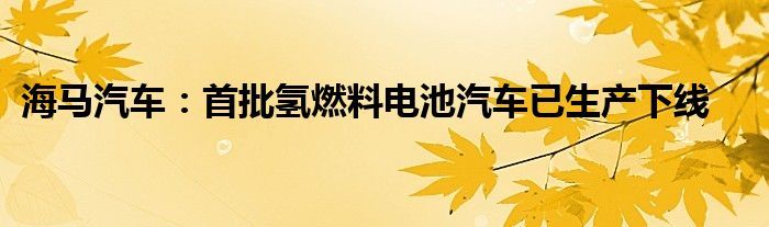 海马汽车：首批氢燃料电池汽车已生产下线