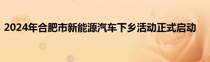 2024年合肥市新能源汽车下乡活动正式启动