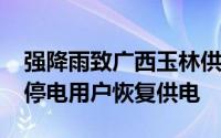 强降雨致广西玉林供电线路受损 已有超66%停电用户恢复供电