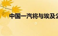 中国一汽将与埃及公司合作平价电动车