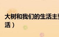 大树和我们的生活主要内容（大树和我们的生活）