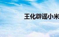 王化辟谣小米逼供应商买车