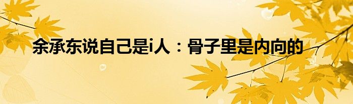 余承东说自己是i人：骨子里是内向的