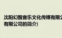 沈阳幻醒音乐文化传媒有限公司(关于沈阳幻醒音乐文化传媒有限公司的简介)