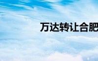 万达转让合肥万达广场公司
