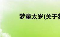 梦童太岁(关于梦童太岁的简介)