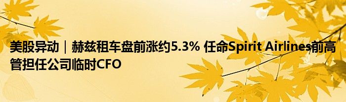 美股异动｜赫兹租车盘前涨约5.3% 任命Spirit Airlines前高管担任公司临时CFO